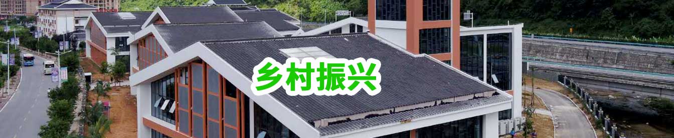 乡村振兴